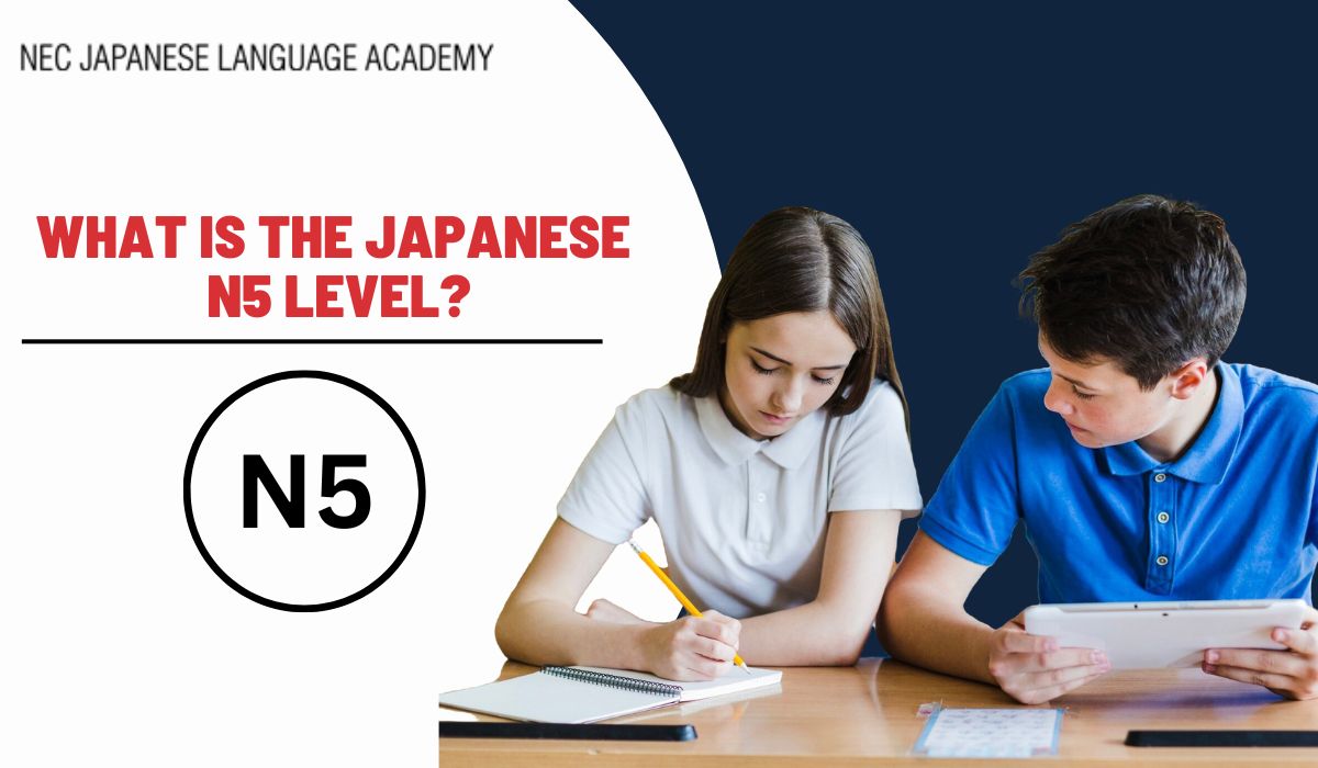 What is the Japanese N5 Level?